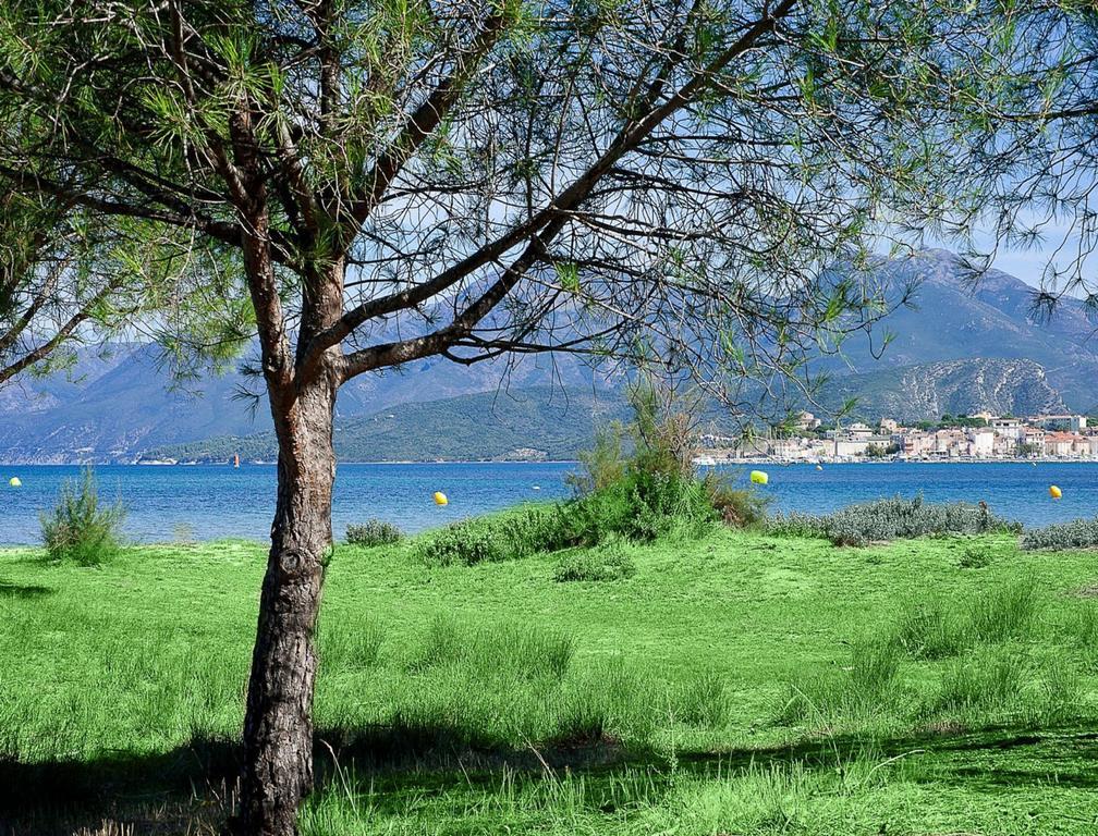 Residence Suarella Saint-Florent  Buitenkant foto